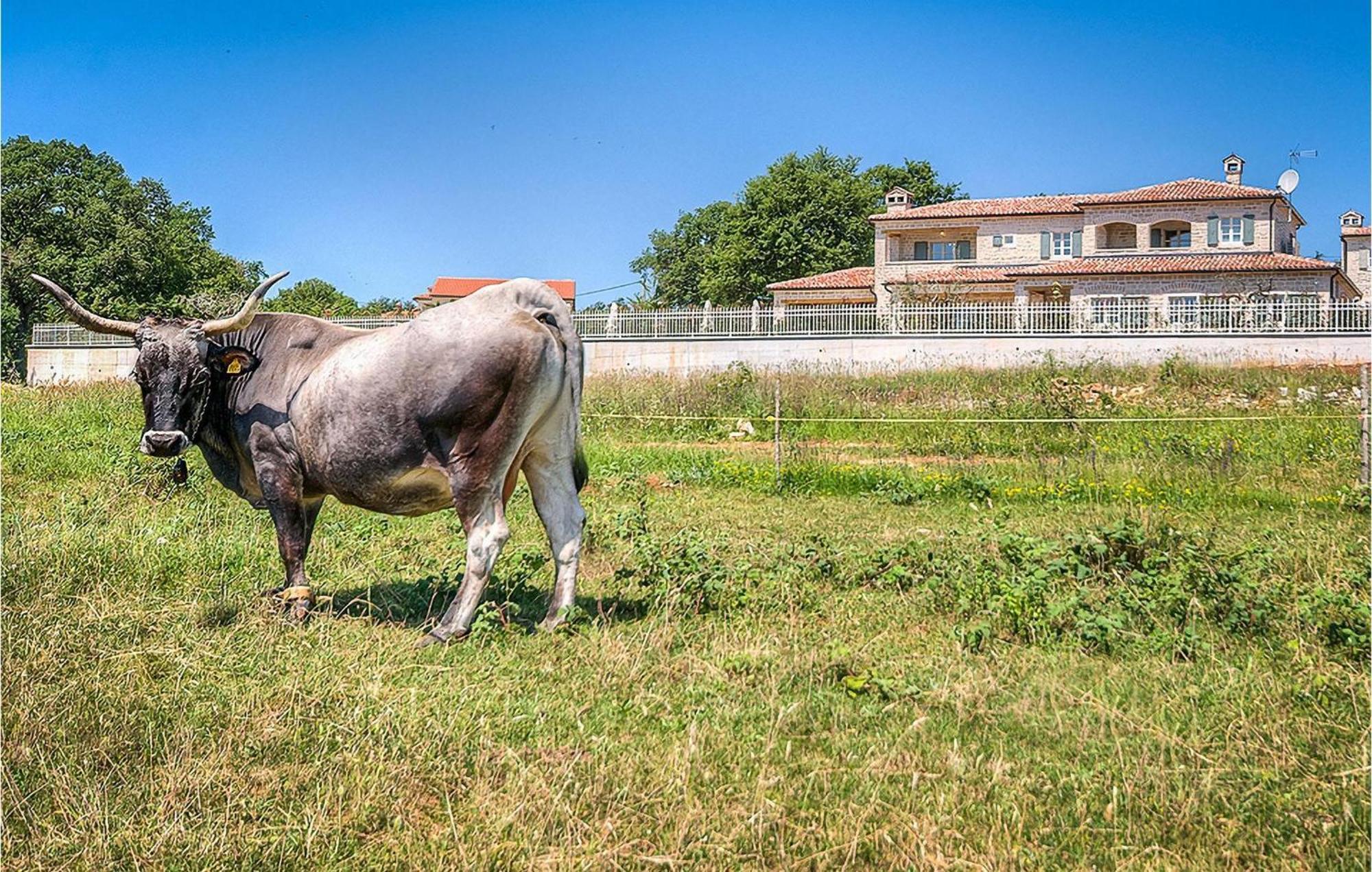 Villa Nevia Rovinj Exterior foto